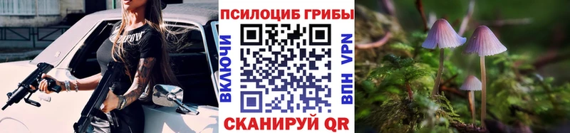 даркнет формула  Жуковка  Псилоцибиновые грибы MAGIC MUSHROOMS 